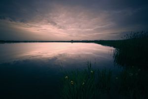 Maelog Dawn